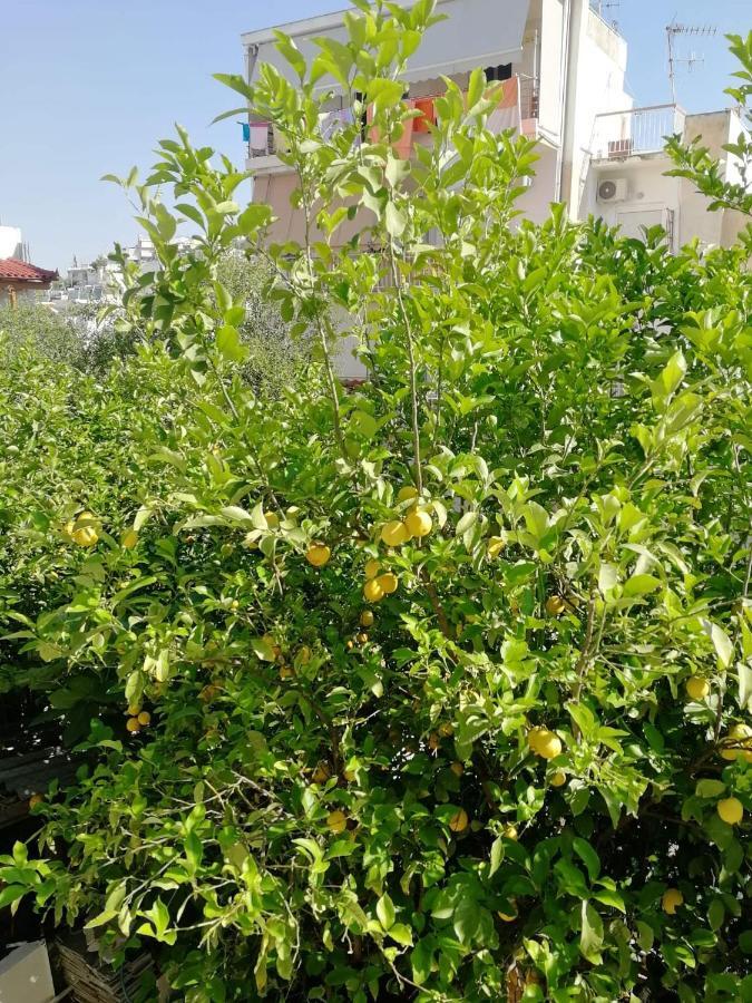 Apartmán Lemontree Atény Exteriér fotografie